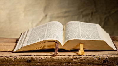 Tumačenje Biblije uz Zvonka Palanskog